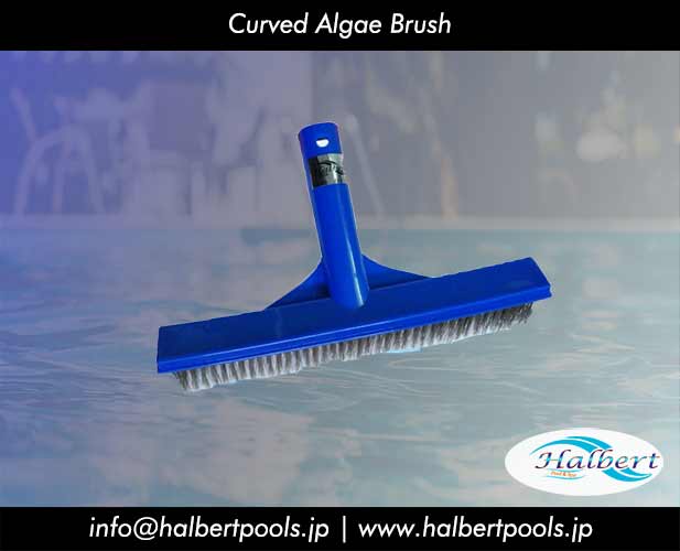 Curved Algae Brush