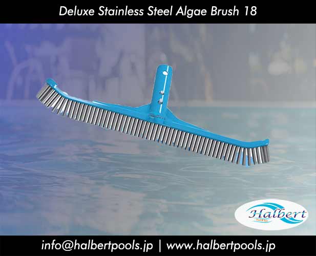 Deluxe Stainless Steel Algae Brush 18"