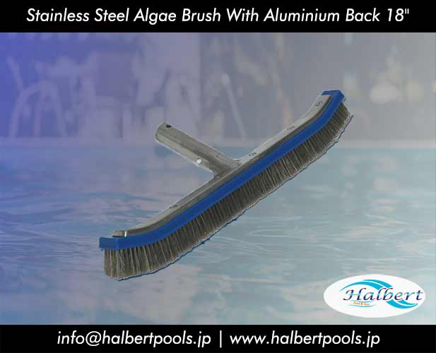 Stainless Steel Algae Brush With Aluminium Back 18"