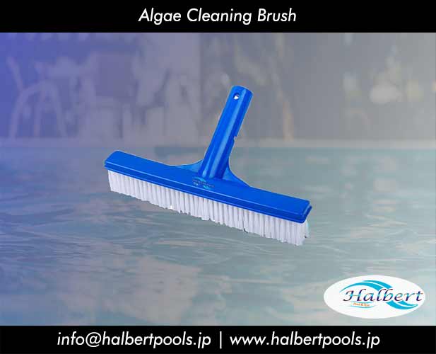 Algae Cleaning Brush