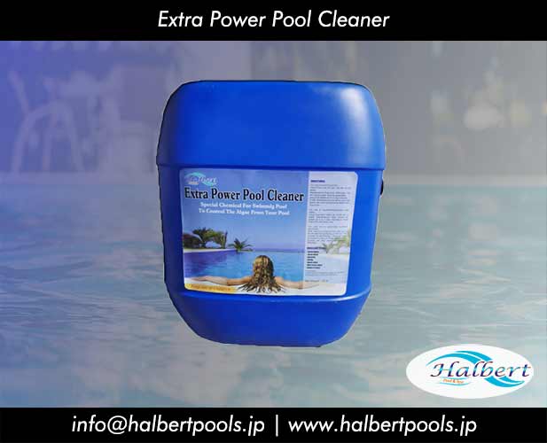 Extra Power Pool Cleaner